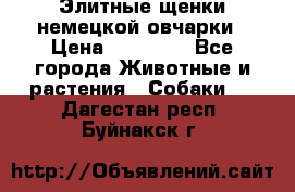 Элитные щенки немецкой овчарки › Цена ­ 30 000 - Все города Животные и растения » Собаки   . Дагестан респ.,Буйнакск г.